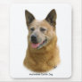 Aust Cattle Dog 9K009D-19 Mouse Pad