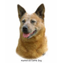 Aust Cattle Dog 9K009D-19 t-shirts
