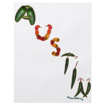 Austin Chilli Peppers
