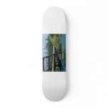 Austin, Texas & 360 Bridge skateboards