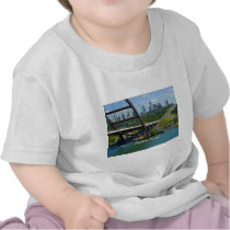Austin, Texas Shirt