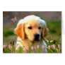 Austin The Golden Labrador Greeting Card