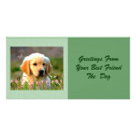 Austin The Golden Labrador Customised Photo Card