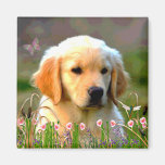 Austin The Golden Labrador Fridge Magnets