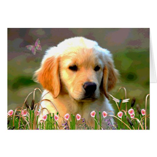 Austin The Golden Labrador Greeting Card