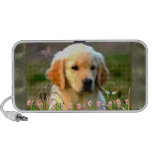 Austin The Golden Labrador iPhone Speakers