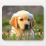 Austin The Golden Labrador Mouse Mat