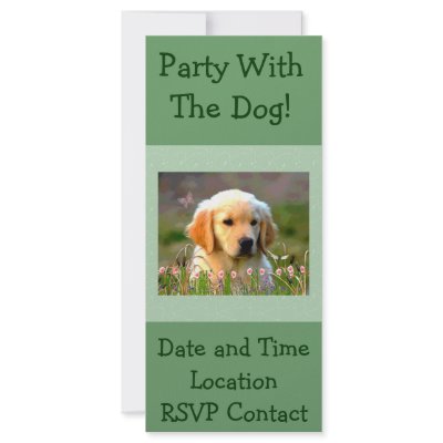 Austin The Golden Labrador Full Color Rack Card by orsobear