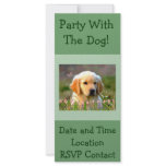 Austin The Golden Labrador rack cards