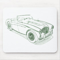 AustinH 100