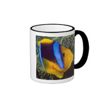 Australia, Great Barrier Reef, Anemonefish Mugs
