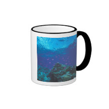 Australia, Great Barrier Reef. Swarming Purple Coffee Mugs