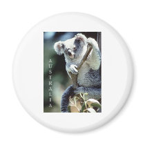 Australia Koala Bear Magnet