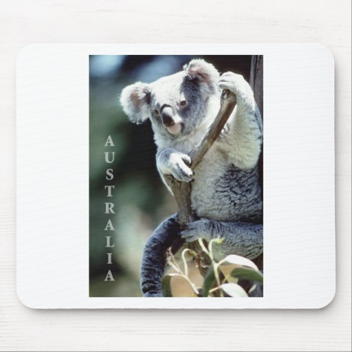 Australia Koala Bear Mouse Pads