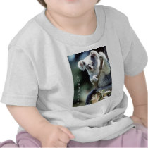 Australia Koala Bear Tshirts