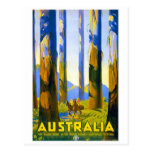 Australia - Vintage Travel Postcard