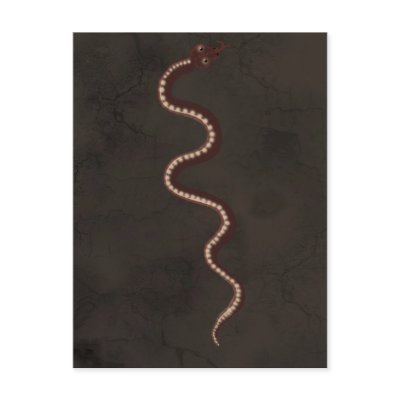 Australian Aboriginal Desert Snake Art Postcard by RavenSpiritPrints