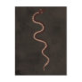 Australian Aboriginal Desert Snake Art Postcard