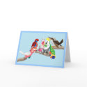 Australian birds are so pretty cards