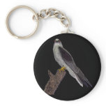Australian blackshouldered kite keychain