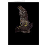 Australian brown goshawk greeting cards