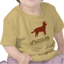 Australian Cattle Dog