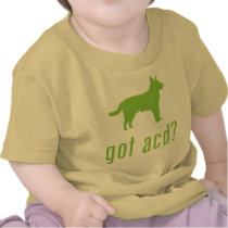 Australian Cattle Dog