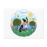 Australian Cattle Dog 1 Postcard