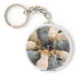 Australian Cattle Dog 8T60D-08_2 Key Chains