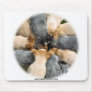 Australian Cattle Dog 8T60D-08_2 Mouse Pad