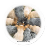 Australian Cattle Dog 8T60D-08_2 stickers