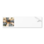 Australian Cattle Dog 8T60D-08 Bumper Sticker
