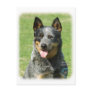 Australian Cattle Dog 9F059D-14 Postcard