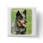 Australian Cattle Dog 9F059D-23 buttons