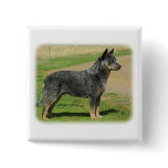 Australian Cattle Dog 9F060D-03 Button