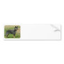 Australian Cattle Dog 9F060D-06 Bumper Sticker