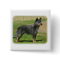Australian Cattle Dog 9F060D-06 Pins