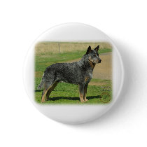 Australian Cattle Dog 9F060D-06 Button