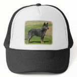 Australian Cattle Dog 9F060D-06 Trucker Hat