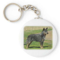 Australian Cattle Dog 9F060D-06 Key Chains