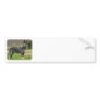 Australian Cattle Dog 9F060D-18 Bumper Sticker
