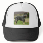 Australian Cattle Dog 9F060D-18 Trucker Hat