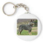 Australian Cattle Dog 9F060D-18 Keychains