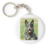 Australian Cattle Dog 9F061D-03_2 Keychains