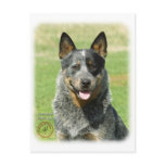 Australian Cattle Dog 9F061D-03_2 Post Cards
