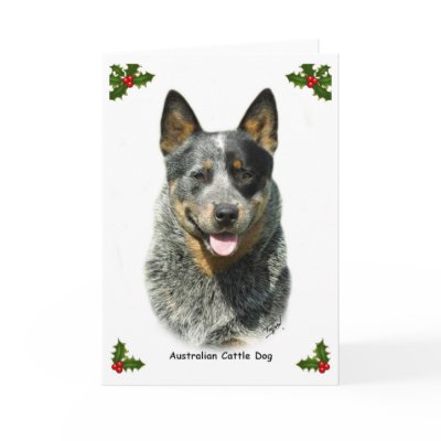 Australian Cattle Dog 9F061D-03 by mtrafford