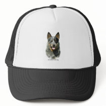 Australian Cattle Dog 9F061D-03 Hats