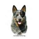 Australian Cattle Dog 9F061D-03 photo sculptures