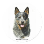 Australian Cattle Dog 9F061D-03 Sticker