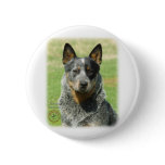 Australian Cattle Dog 9F061D-04_2 Pinback Buttons